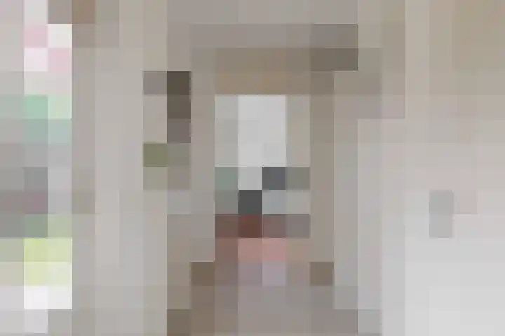 Koeltorenplein 26 Geleen thumbnail 14