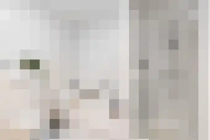 Koeltorenplein 26 Geleen thumbnail 17