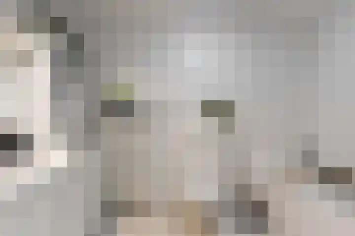 Koeltorenplein 26 Geleen thumbnail 18
