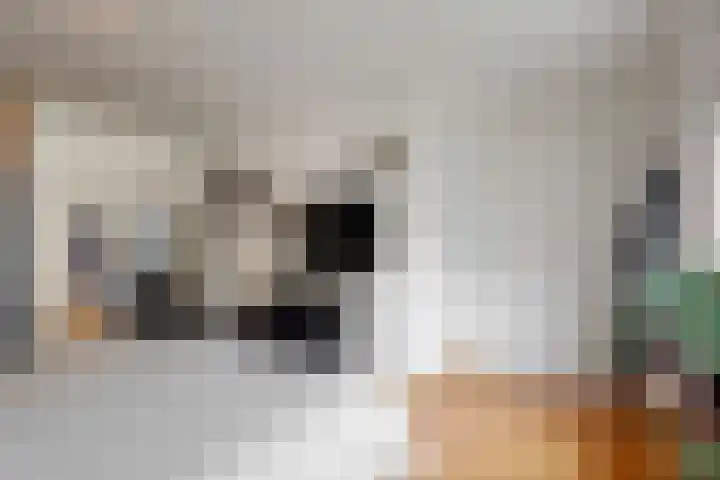 Koeltorenplein 26 Geleen thumbnail 24