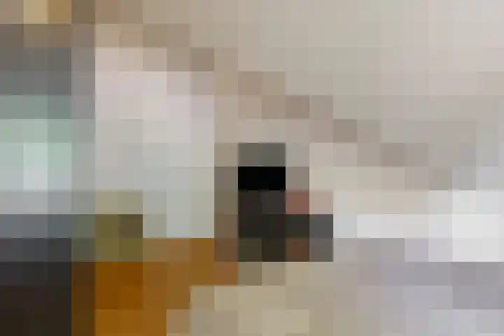 Koeltorenplein 26 Geleen thumbnail 29