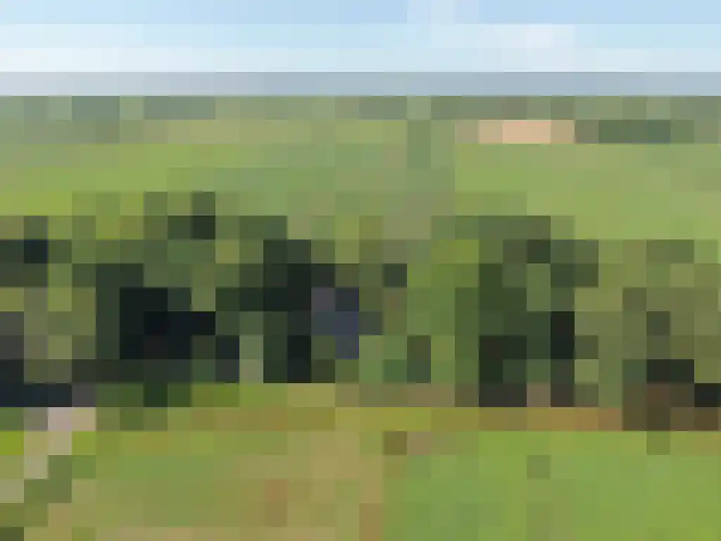 Koelveenweg 1 Schoonebeek