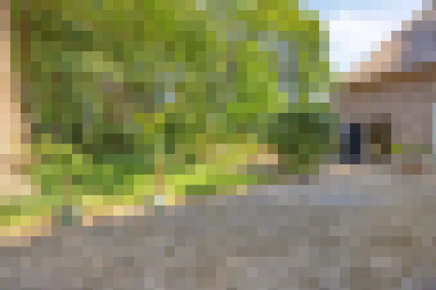 Koelveenweg 1 Schoonebeek thumbnail 10