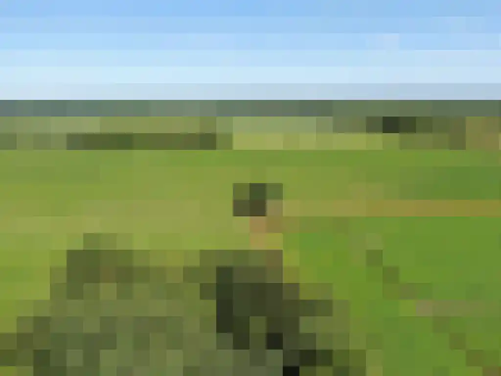 Koelveenweg 1 Schoonebeek thumbnail 10