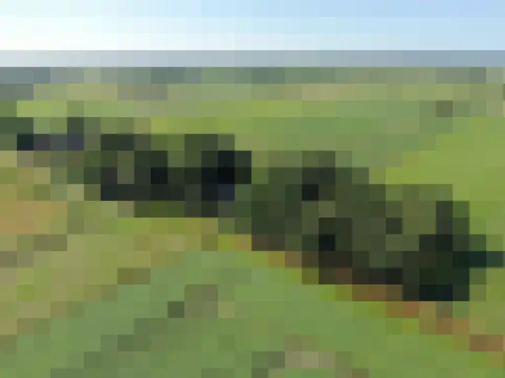 Koelveenweg 1 Schoonebeek thumbnail 11