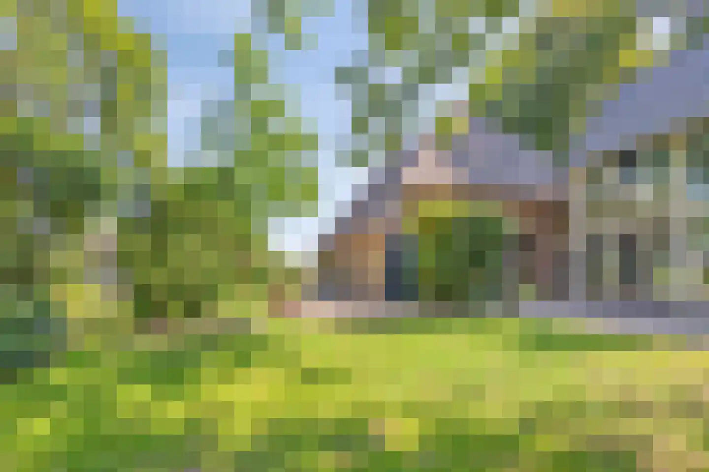Koelveenweg 1 Schoonebeek thumbnail 11