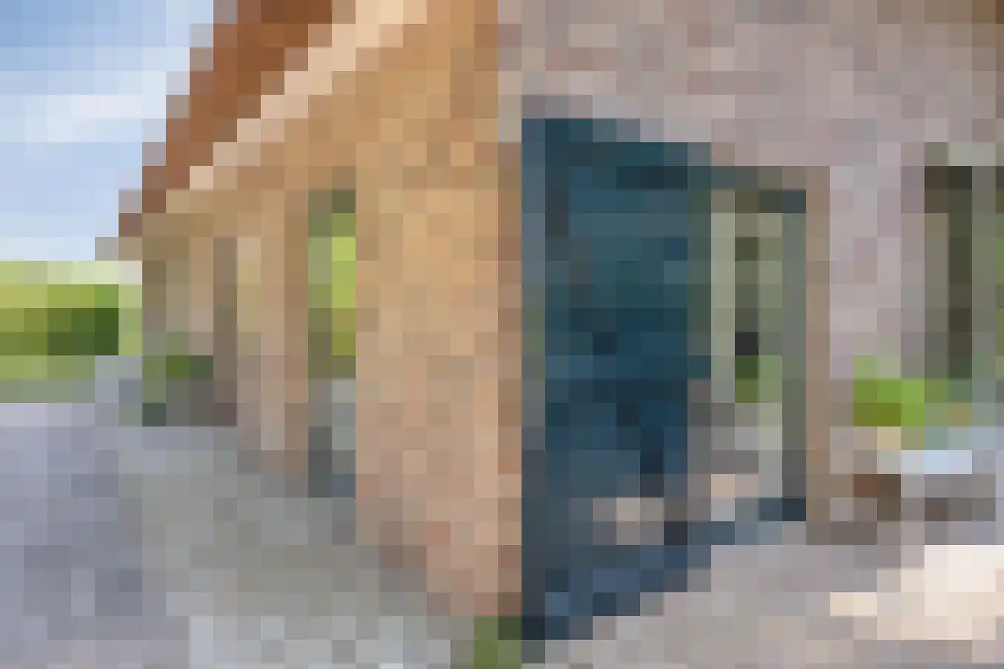 Koelveenweg 1 Schoonebeek thumbnail 12
