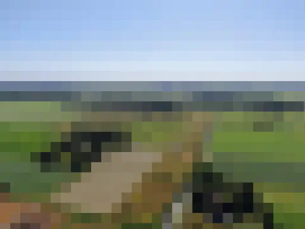 Koelveenweg 1 Schoonebeek thumbnail 12
