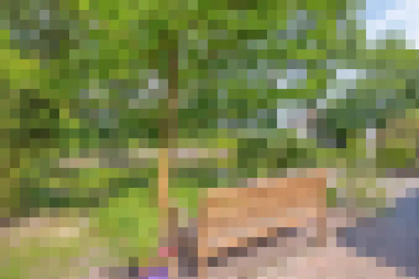 Koelveenweg 1 Schoonebeek thumbnail 13