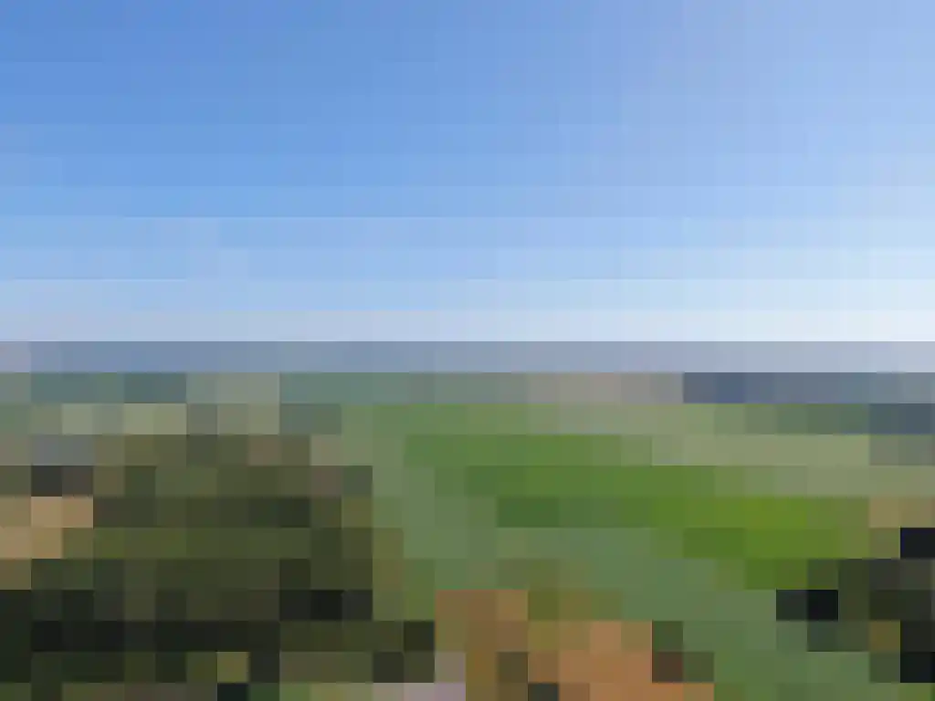 Koelveenweg 1 Schoonebeek thumbnail 13