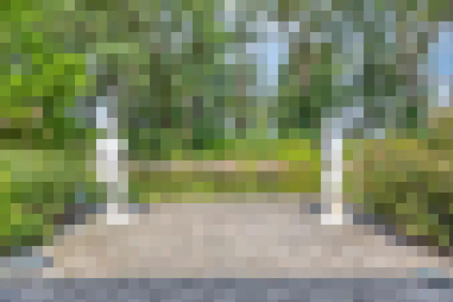 Koelveenweg 1 Schoonebeek thumbnail 14