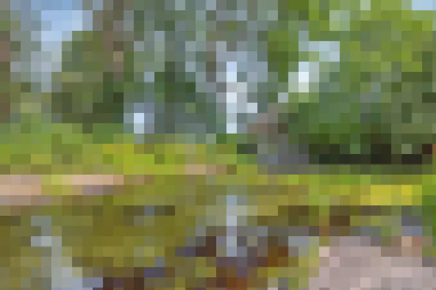 Koelveenweg 1 Schoonebeek thumbnail 15