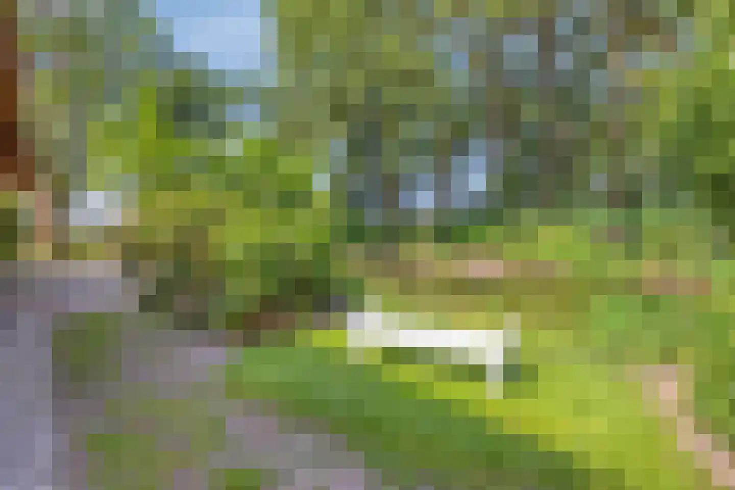 Koelveenweg 1 Schoonebeek thumbnail 16