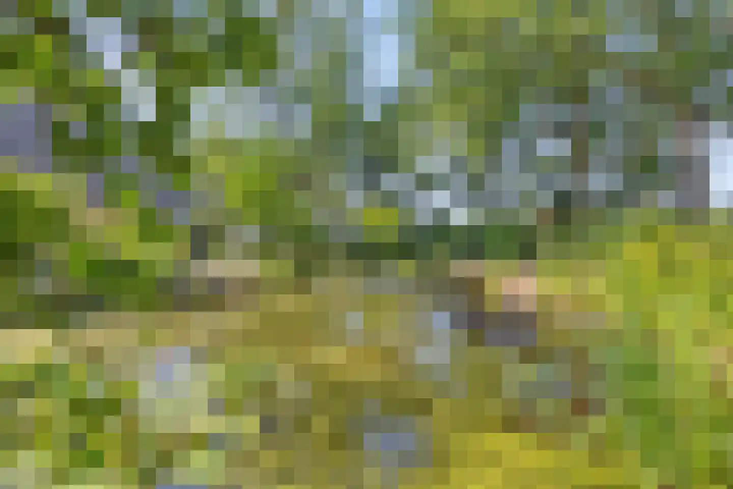 Koelveenweg 1 Schoonebeek thumbnail 17