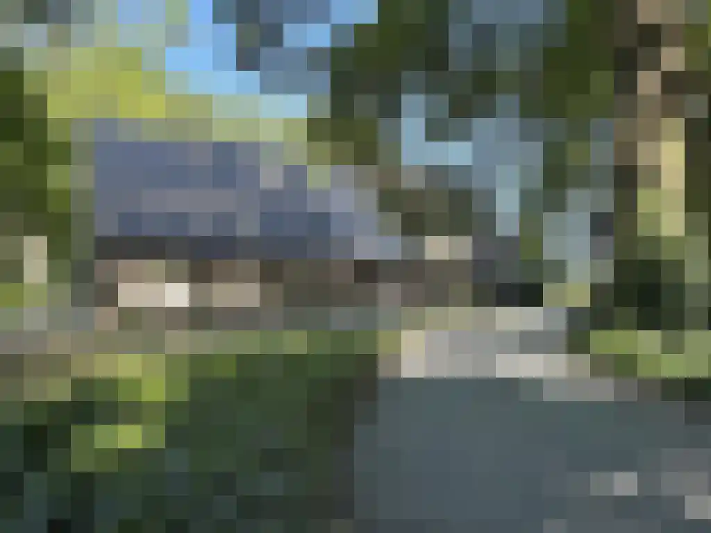 Koelveenweg 1 Schoonebeek thumbnail 17