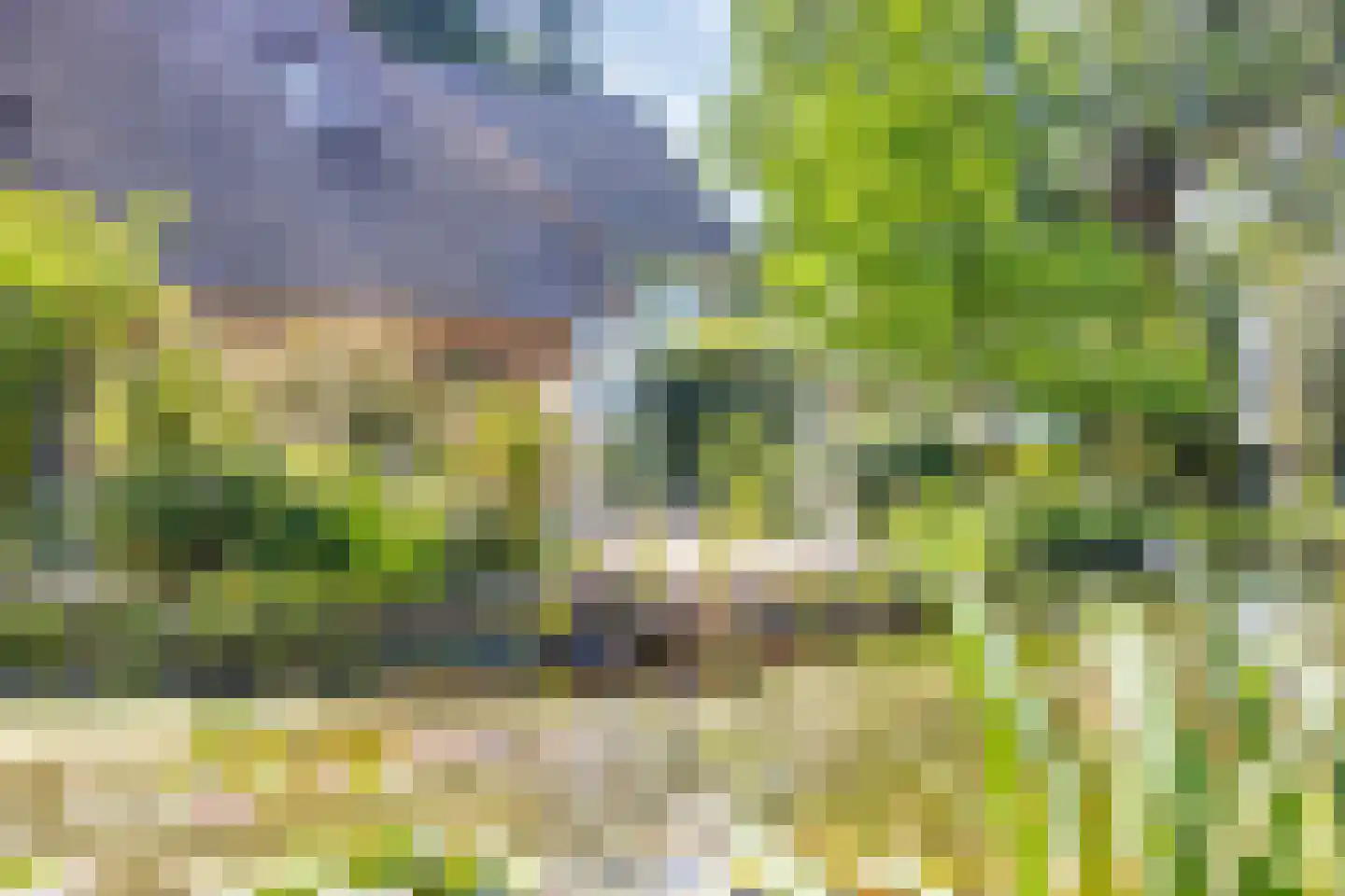 Koelveenweg 1 Schoonebeek thumbnail 18