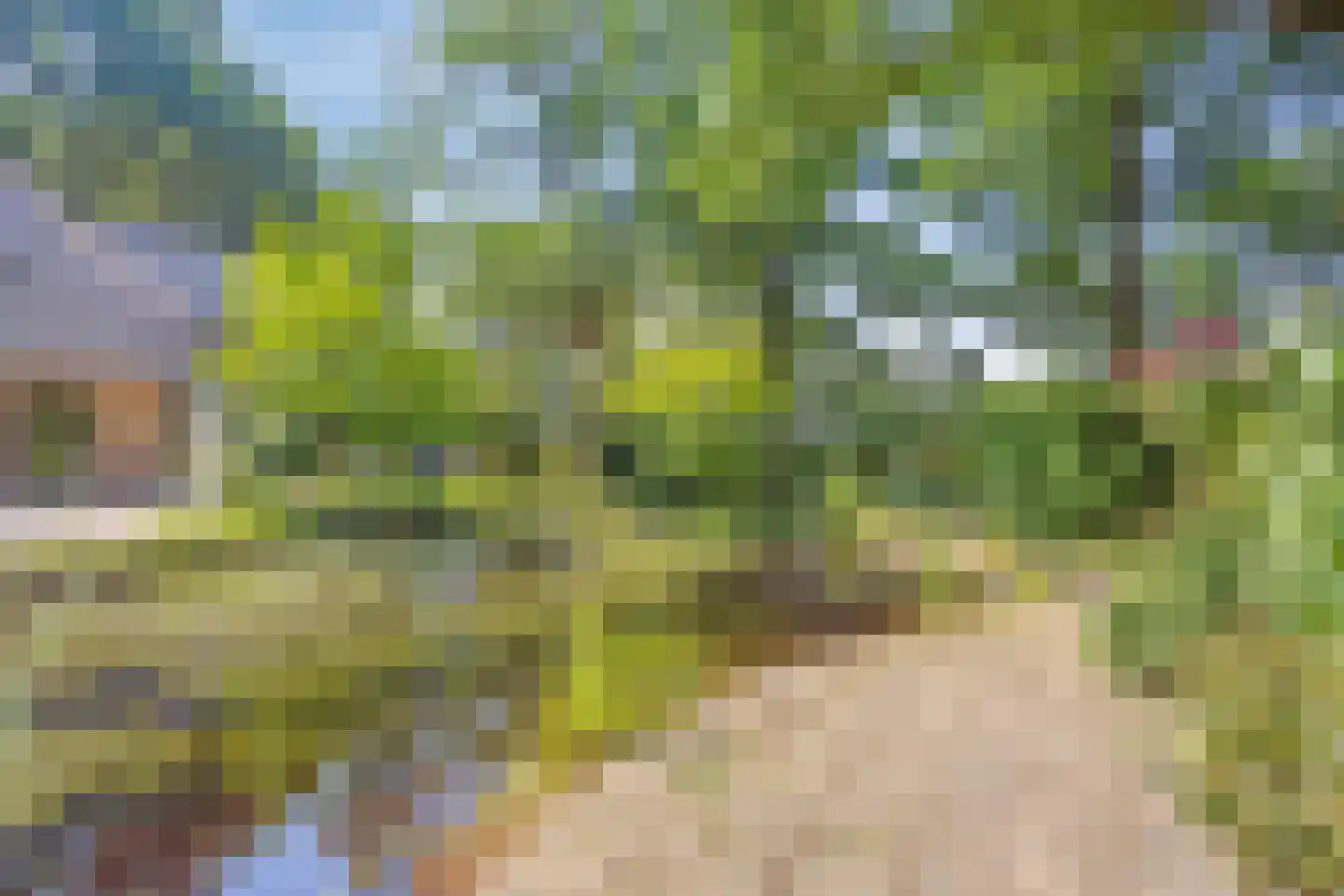 Koelveenweg 1 Schoonebeek thumbnail 19