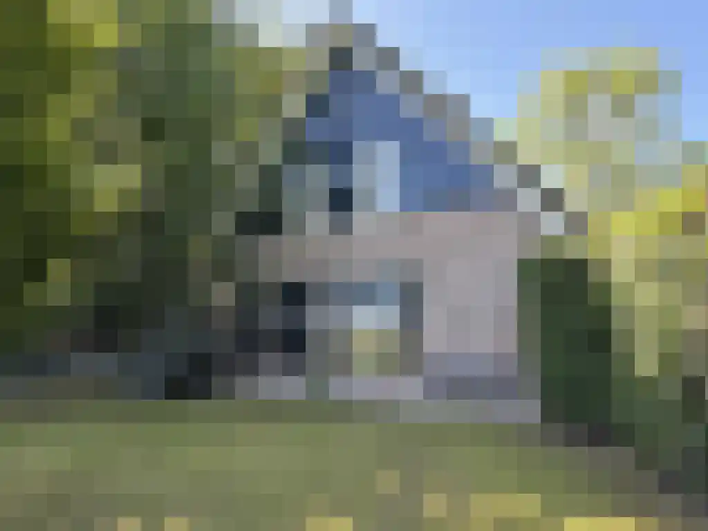 Koelveenweg 1 Schoonebeek thumbnail 19