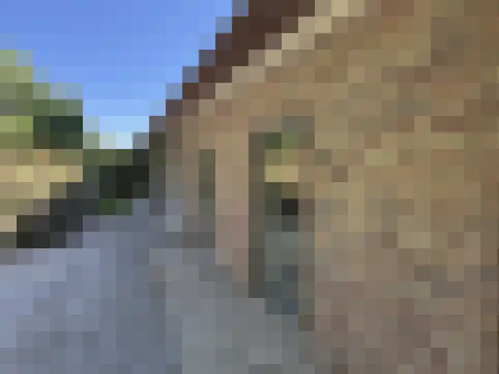 Koelveenweg 1 Schoonebeek thumbnail 20