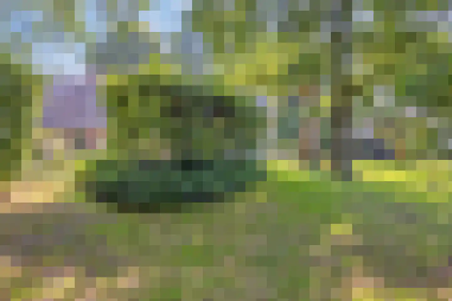Koelveenweg 1 Schoonebeek thumbnail 20