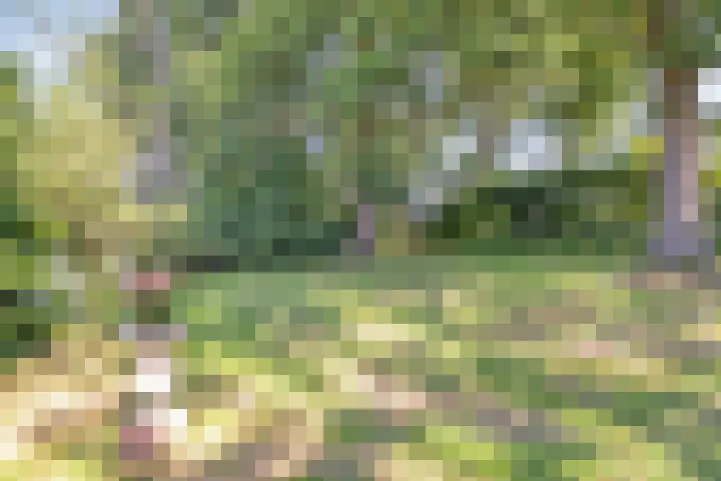 Koelveenweg 1 Schoonebeek thumbnail 21