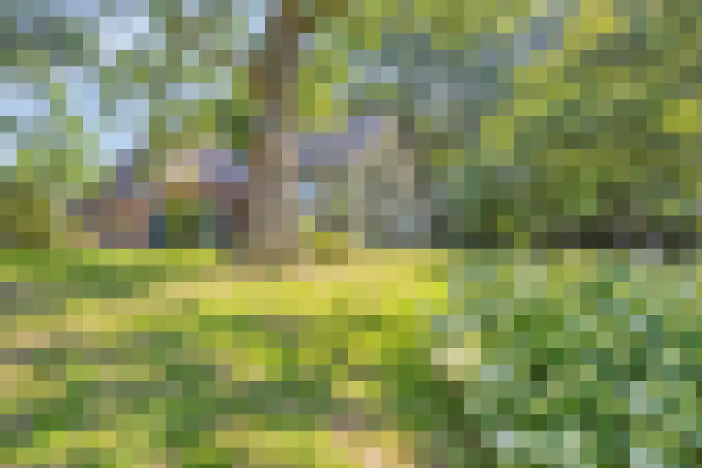 Koelveenweg 1 Schoonebeek thumbnail 22