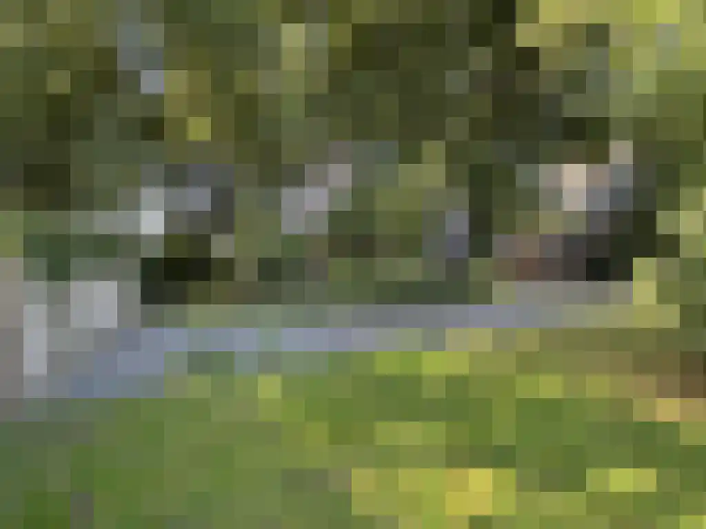 Koelveenweg 1 Schoonebeek thumbnail 22