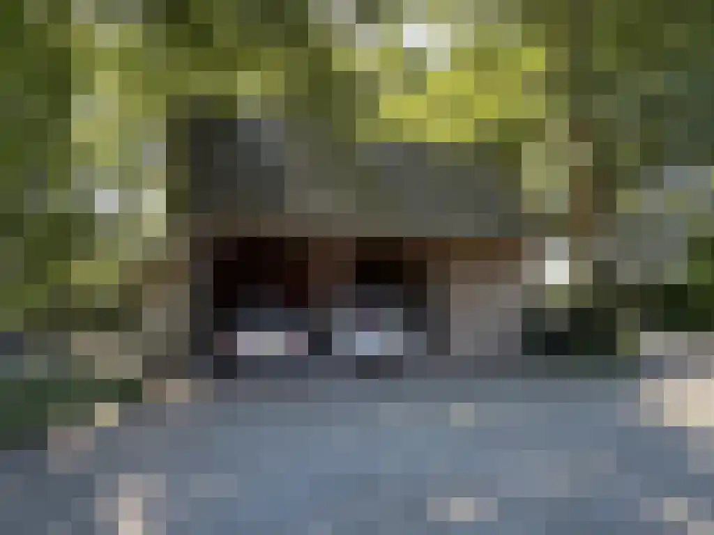 Koelveenweg 1 Schoonebeek thumbnail 23