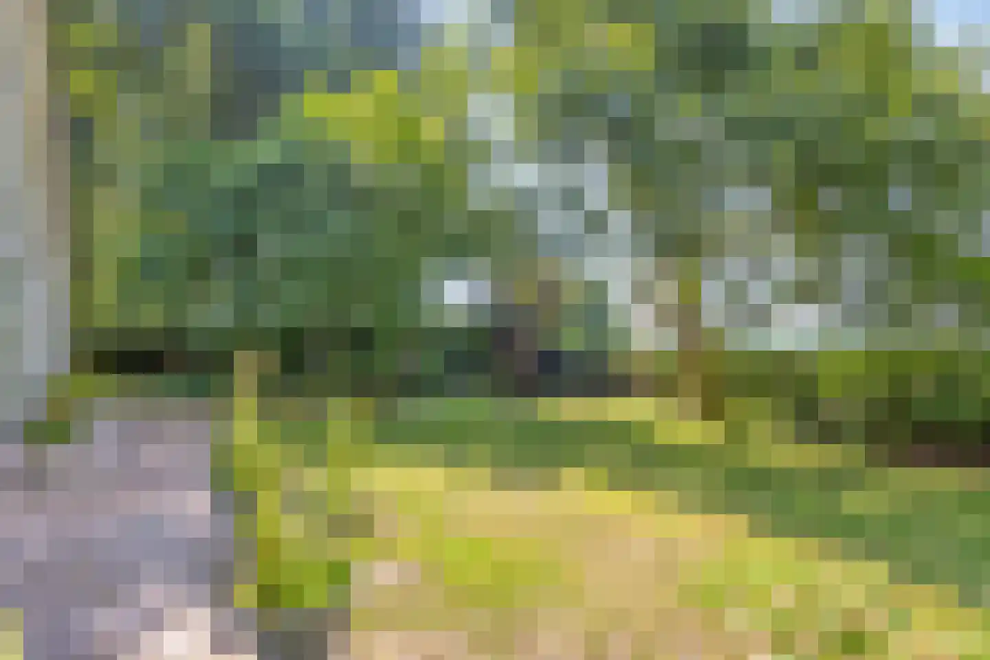 Koelveenweg 1 Schoonebeek thumbnail 23