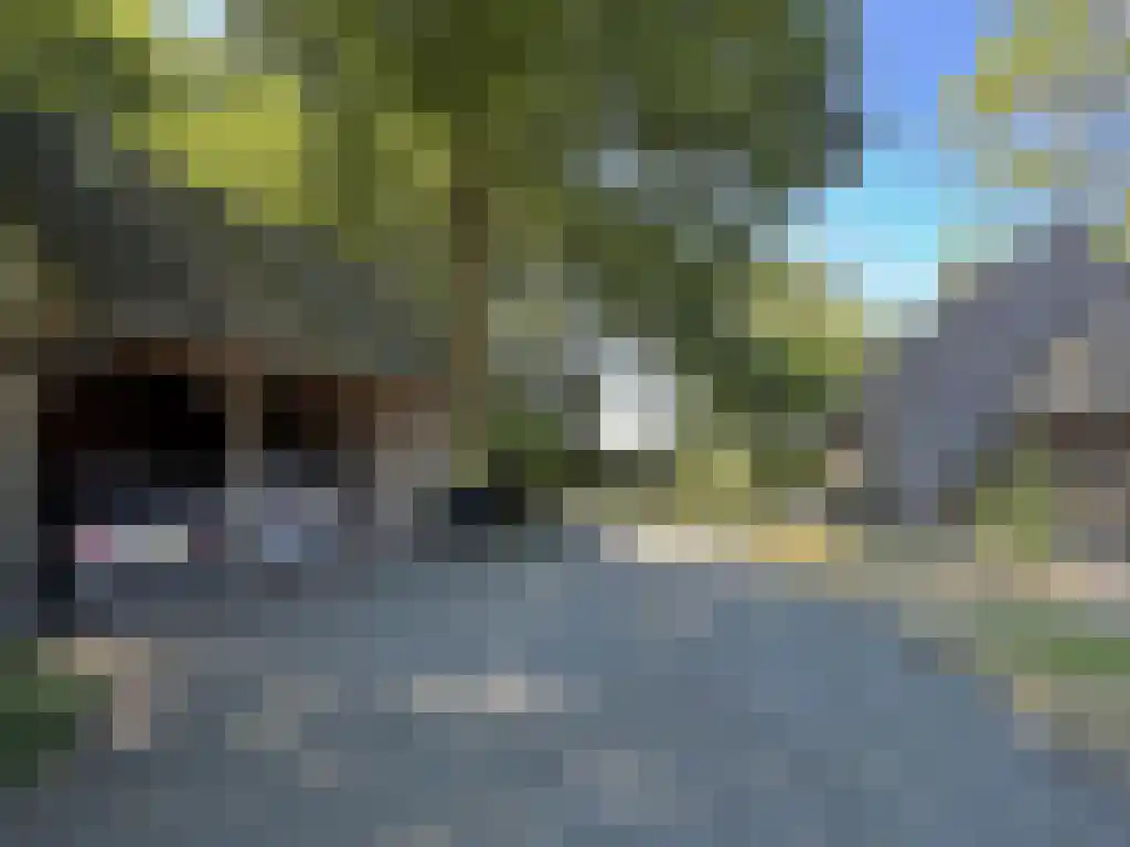 Koelveenweg 1 Schoonebeek thumbnail 24