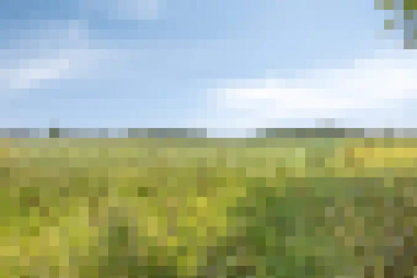Koelveenweg 1 Schoonebeek thumbnail 24