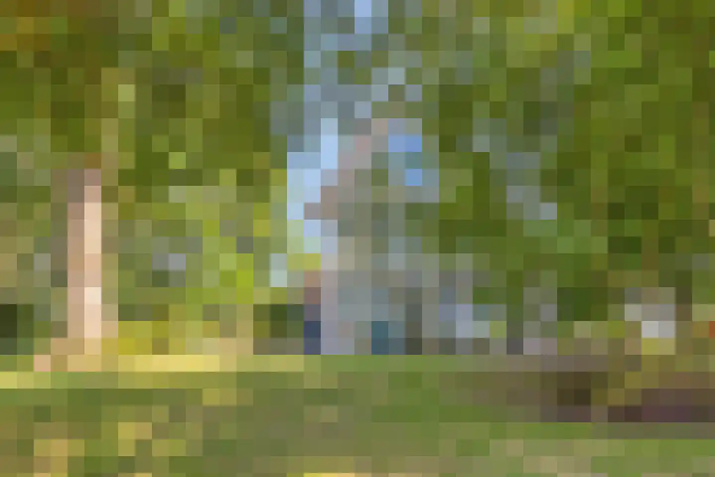 Koelveenweg 1 Schoonebeek thumbnail 25
