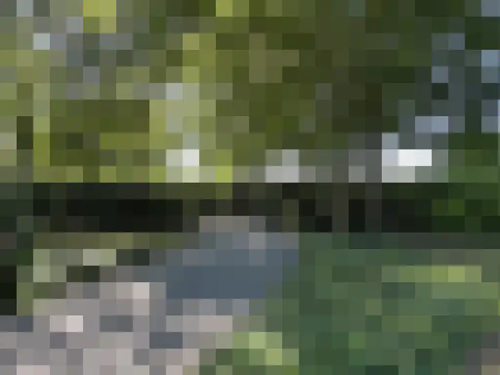 Koelveenweg 1 Schoonebeek thumbnail 25