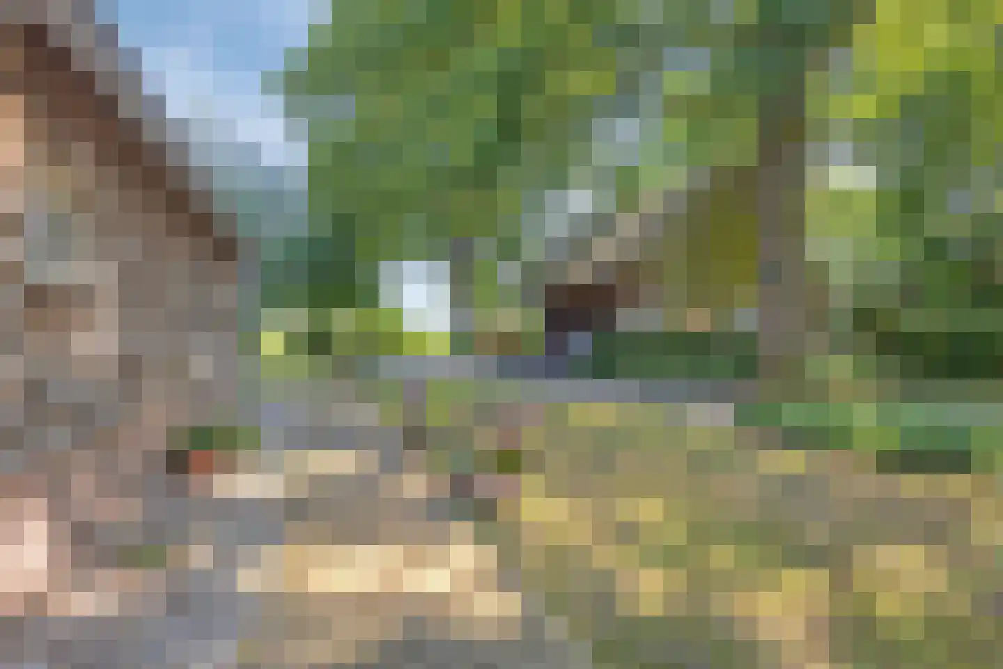 Koelveenweg 1 Schoonebeek thumbnail 26
