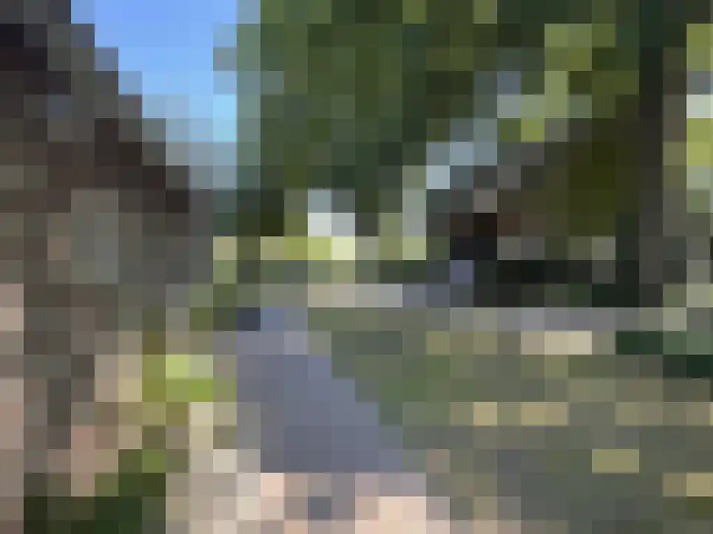 Koelveenweg 1 Schoonebeek thumbnail 26