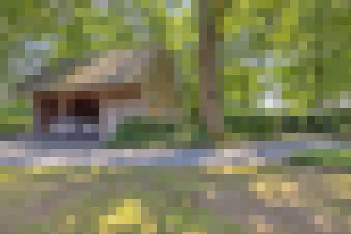 Koelveenweg 1 Schoonebeek thumbnail 27
