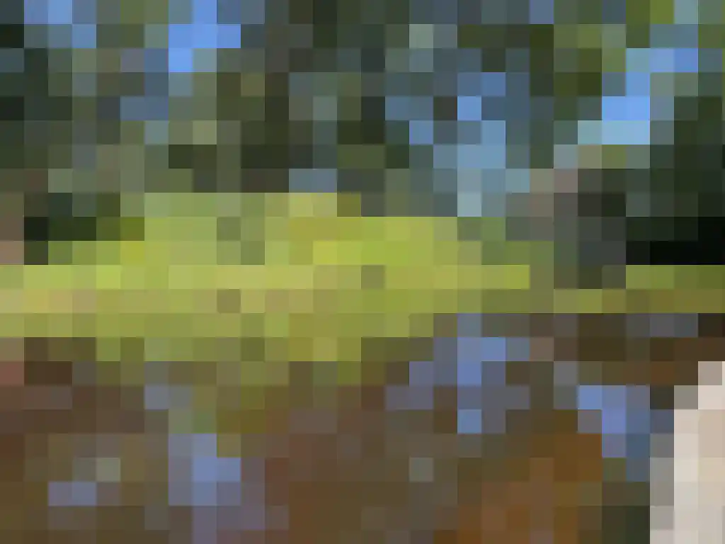 Koelveenweg 1 Schoonebeek thumbnail 27