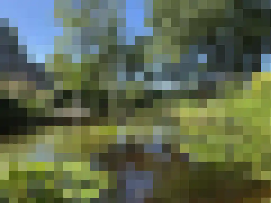 Koelveenweg 1 Schoonebeek thumbnail 28