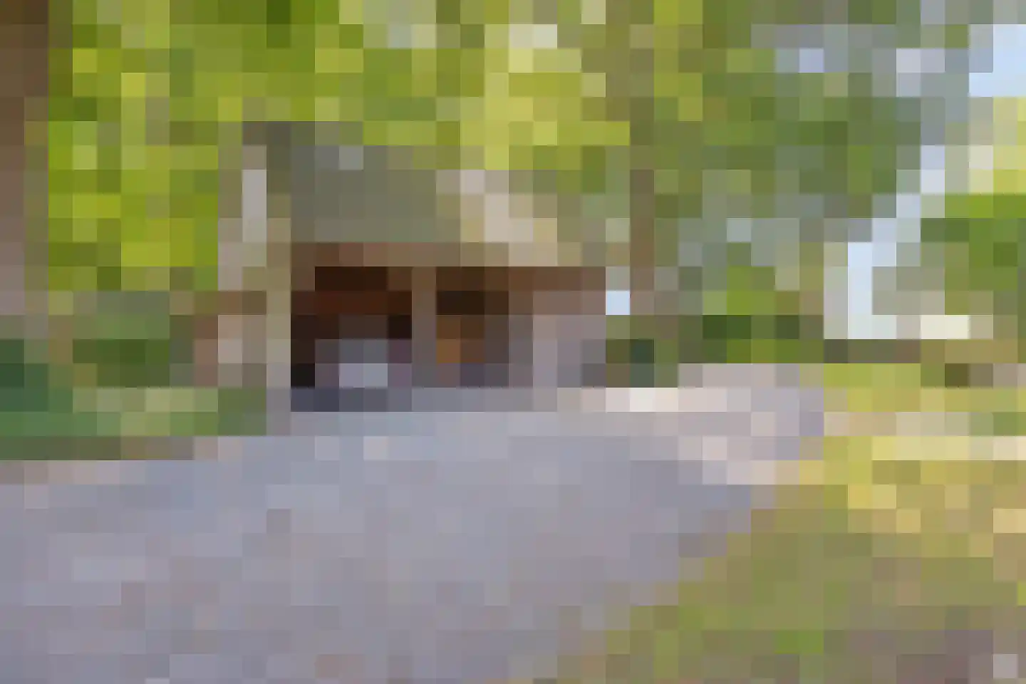 Koelveenweg 1 Schoonebeek thumbnail 28