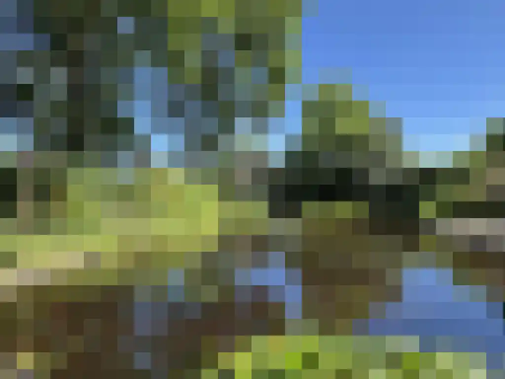 Koelveenweg 1 Schoonebeek thumbnail 29