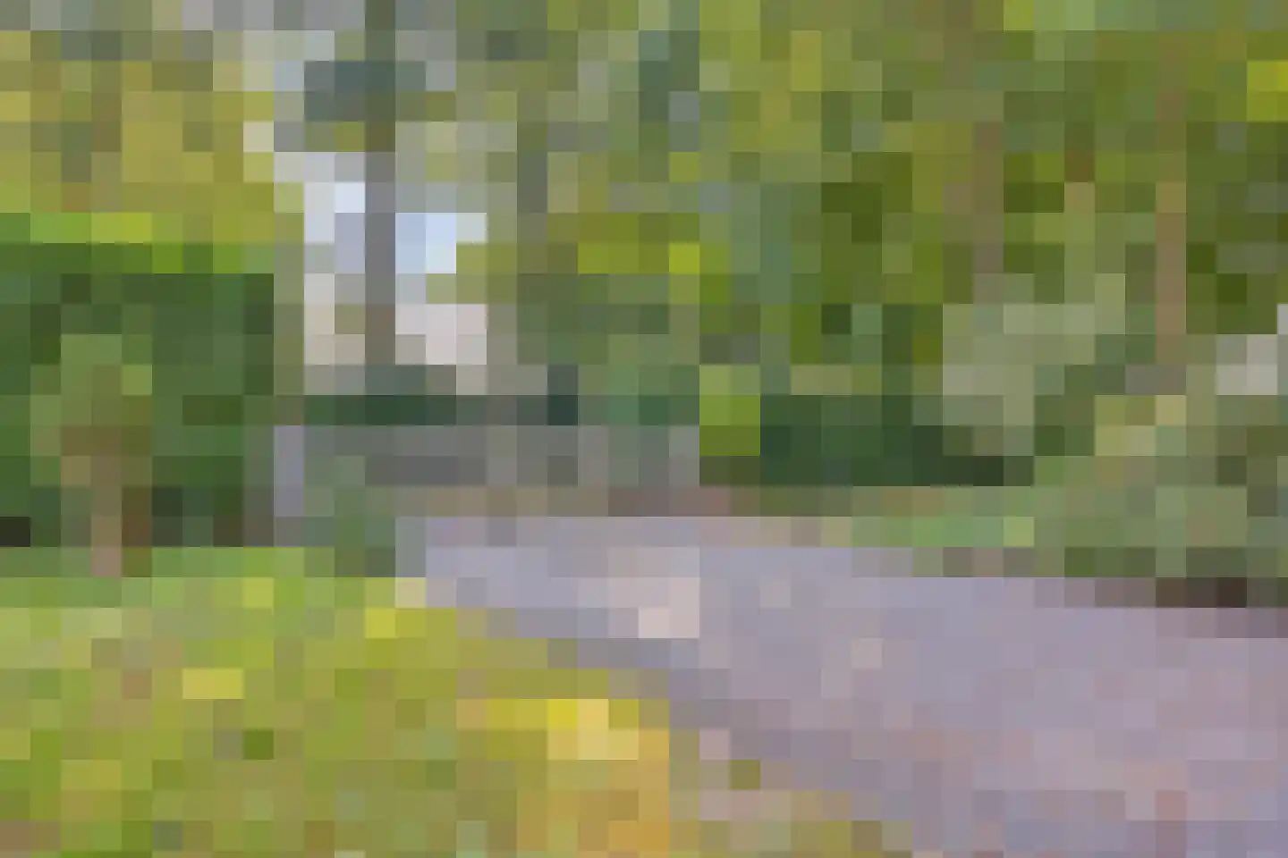 Koelveenweg 1 Schoonebeek thumbnail 29