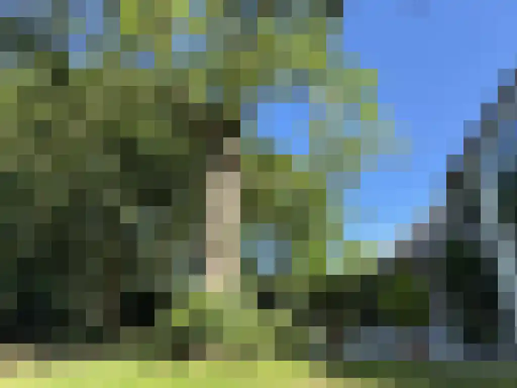 Koelveenweg 1 Schoonebeek thumbnail 31