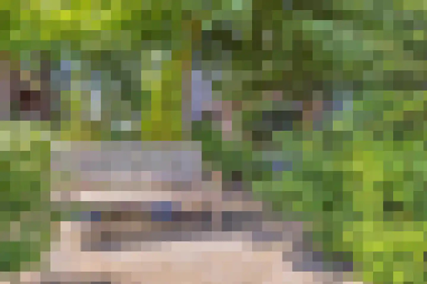 Koelveenweg 1 Schoonebeek thumbnail 31