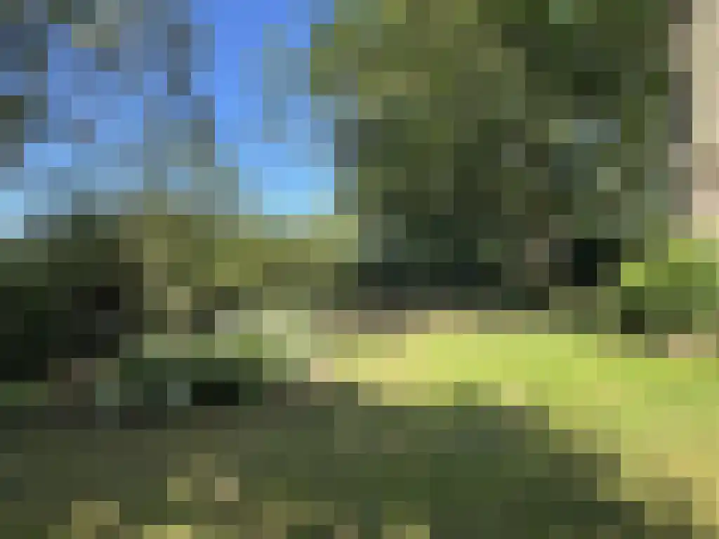 Koelveenweg 1 Schoonebeek thumbnail 32