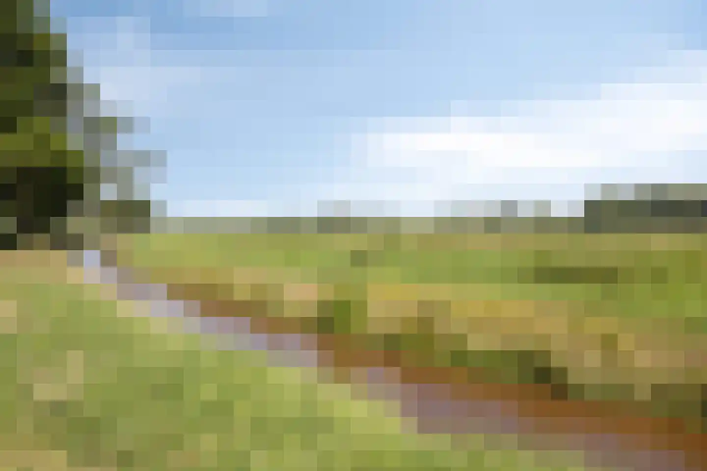 Koelveenweg 1 Schoonebeek thumbnail 32