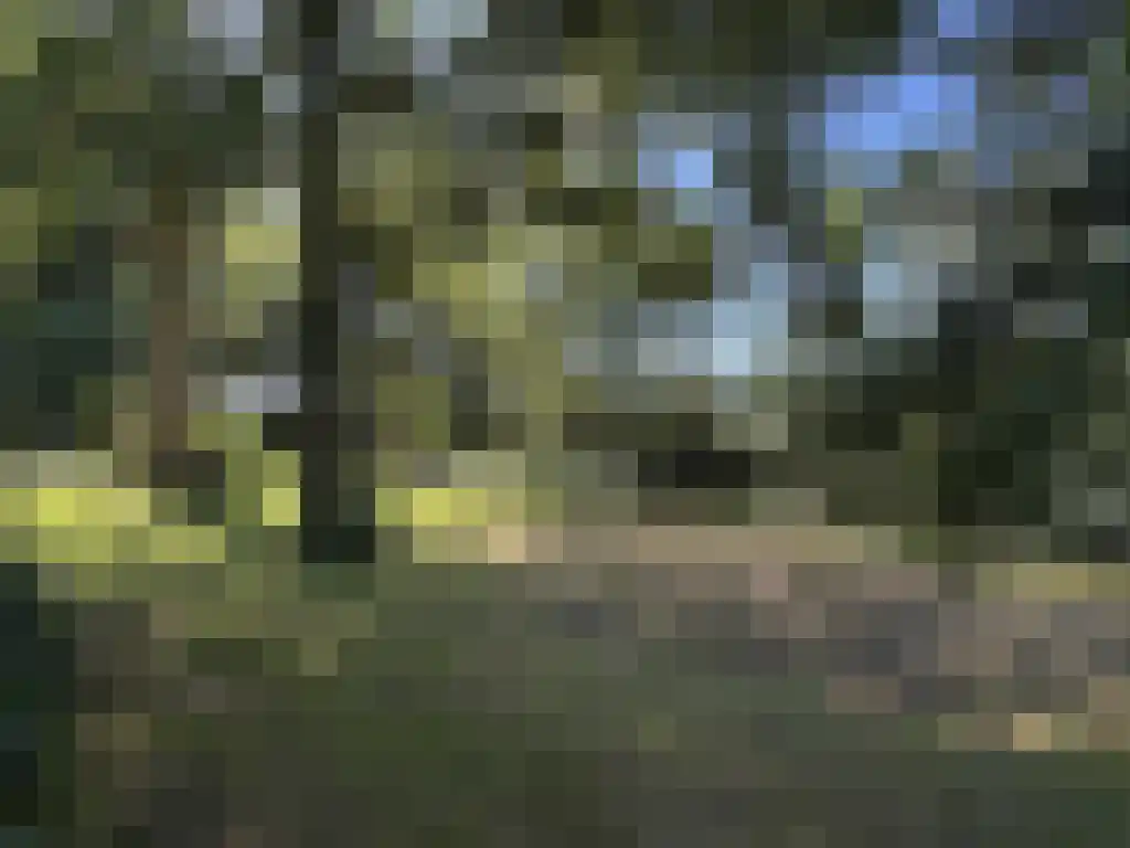 Koelveenweg 1 Schoonebeek thumbnail 33