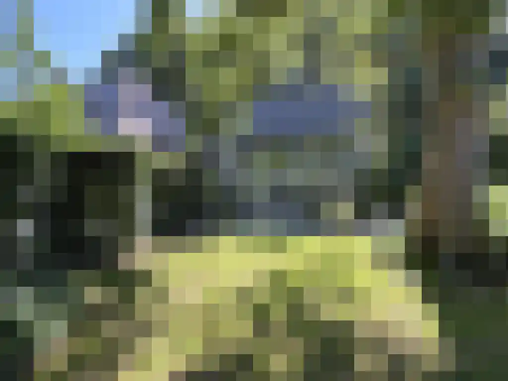 Koelveenweg 1 Schoonebeek thumbnail 34