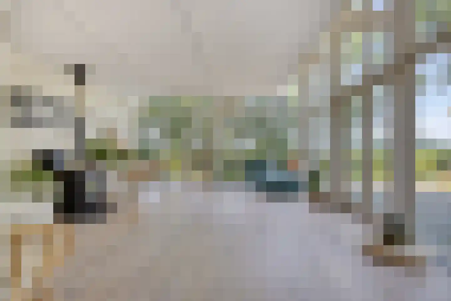 Koelveenweg 1 Schoonebeek thumbnail 42