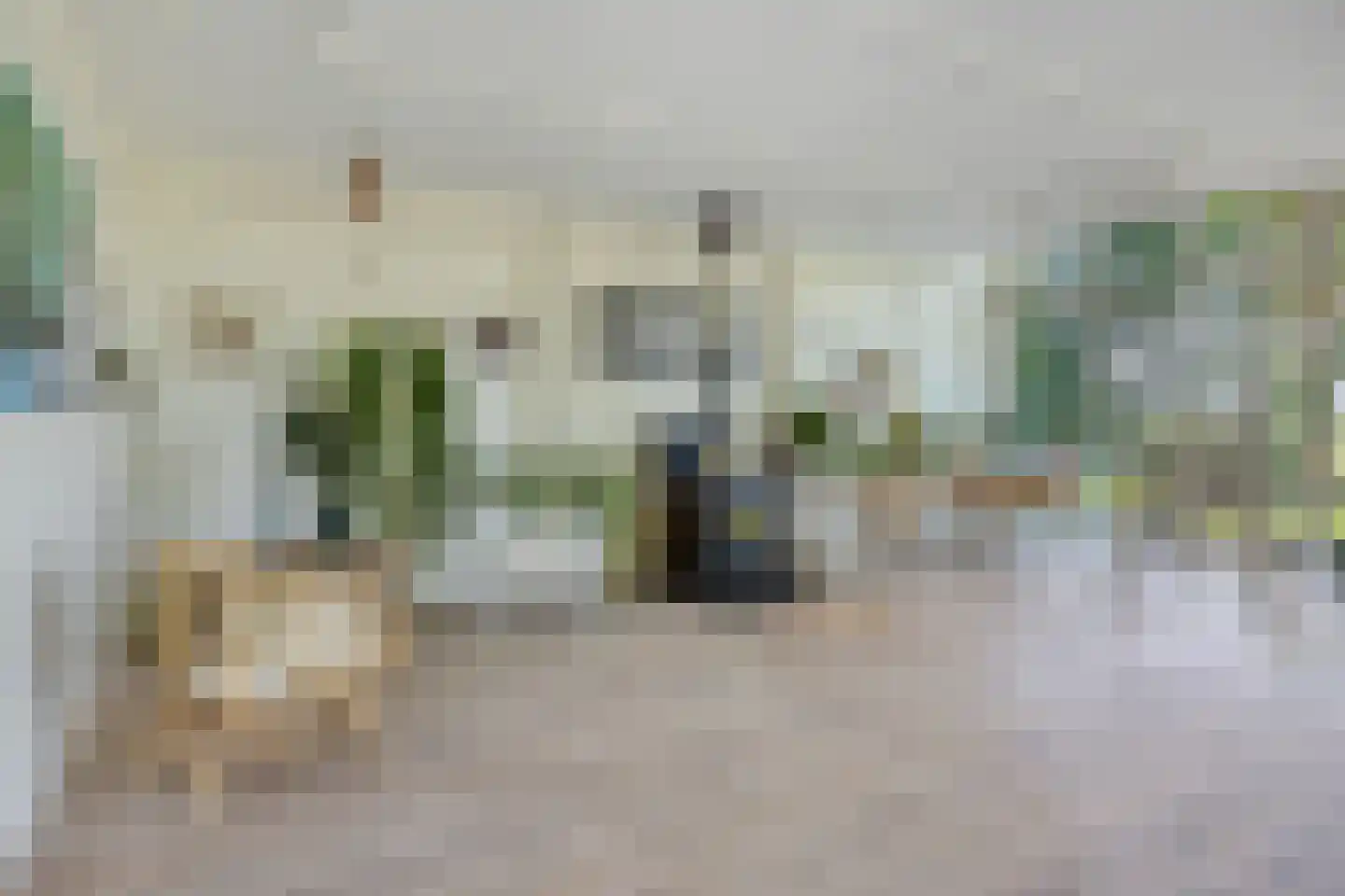 Koelveenweg 1 Schoonebeek thumbnail 45
