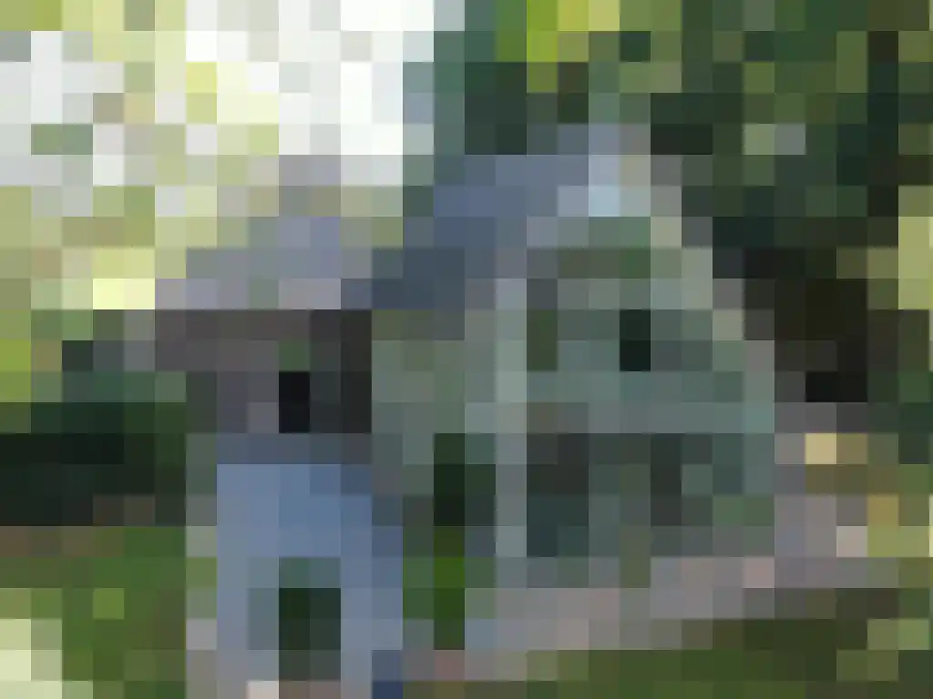 Koelveenweg 1 Schoonebeek thumbnail 5